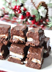 espresso-peppermint-fudge-final-3.jpg