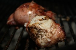 20100510-nastybits-testiclesongrill.JPG