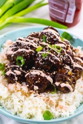 Bulgogi-Meatballs-4.jpg