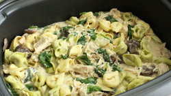 slow-cooker-chicken-alfredo-tortellini_04.jpg