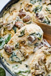 creamyparmesanchicken-667x1000.jpg