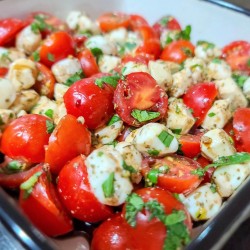 mozzarella-basil-tomatoes-salad-featured-2048x2048.jpg.jpg