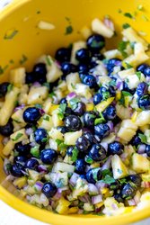 Blueberry-Salsa-mixed-up.jpg