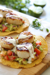 Scallop-Tostadas-1-2.jpg