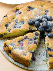 Blueberry-Breakfast-Greek-Yogurt-Cake-03.jpg
