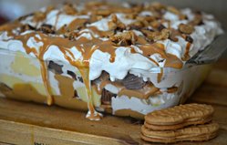 peanut-butter-cup-lasagna.jpg