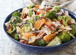 Mandarin-Broccoli-Salad-2-1-of-1-1024x731.jpg
