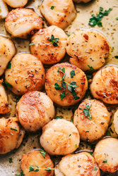 garlicbutterherbscallops4-1-of-1.jpg