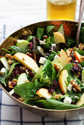 apple-cranberry-walnut-salad-2.jpg