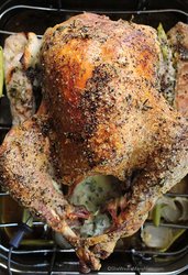 mayonnaise-roasted-turkey-a2-new.jpg