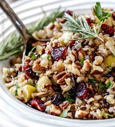 cranberry-apple-pecan-wild-rice-pilaf-main.jpg