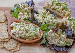 Avocado-Chicken-Salad-2-1-of-1-1024x731.jpg