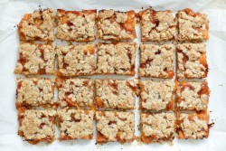 apricot-crisp-bars-1-1024x683.jpg