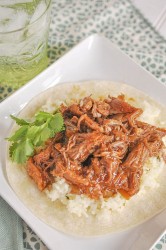 cafe-rio-pork-1-768x1157.jpg