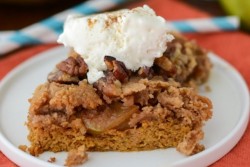 spiced-pumpkin-apple-dump-cake-4-of-5.jpg