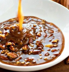 editedBourbonPralinePecanSauce001.jpg