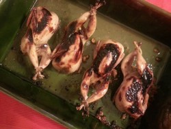 quail-in-roasting-pan.jpg