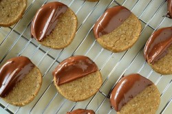 Espresso-Hazelnut-Shortbread-Cookies-image-1.jpg