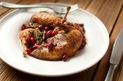 partridge-cranberry-recipe-main.jpg