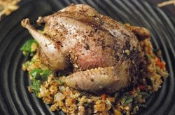 turkish-roast-pigeon-recipe.jpg