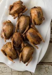 fried-doves-recipe.jpg