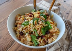 Cranberry-Almond-Orzo-Salad-4-1-of-1-1024x731.jpg