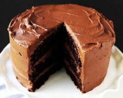 Best-Chocolate-Cake-Recipe-Ever-2.jpg