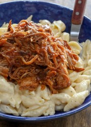 bbq-pulled-pork-7-1-of-1-768x1075.jpg