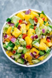 Mango-Salsa1.jpg