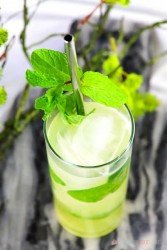 Pineapple-Mojito-11b.jpg