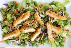 oriental-chicken-salad-2.jpg