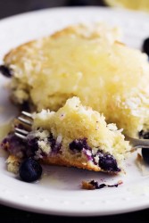 coconutblueberrycake4.jpg