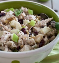 Chicken-Salad-Cranaberries-Walnuts.jpg