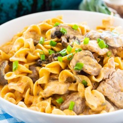 Pork-Stroganoff-16.jpg