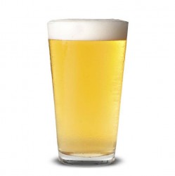 beer-pale-pintulw_1_1.jpg