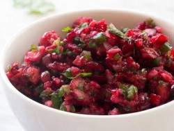 cranberry-salsa-recipe-everydaydishes_com-H-740x486.jpg